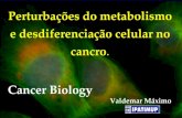 Cancer Biology Valdemar Máximo
