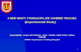 A NEW GRAFT: CYANOACRYLATE COVERED TRACHEA ( Experimental Study )