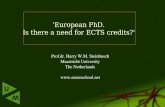 Prof.dr. Harry W.M. Steinbusch Maastricht University The Netherlands euronschool