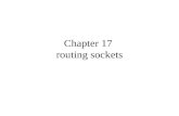 Chapter 17  routing sockets