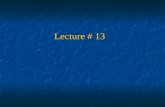 Lecture # 13