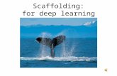 Scaffolding: for deep learning