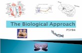 The Biological Approach