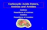 Carboxylic Acids Esters, Amines and Amides