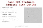 Some ECC features studied with GenIma