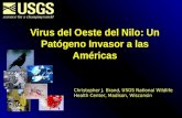 Virus del Oeste del Nilo: Un Pat ógeno Invasor a las Américas