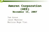 Ameren Corporation (AEE) November 15, 2007