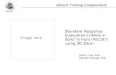 Standard Response Evaluation Criteria in Solid Tumors (RECIST) using 3D Slicer