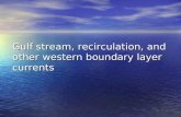 Gulf stream, recirculation, and other western boundary layer currents