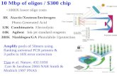 10 Mbp of oligos / $300 chip