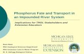 Phosphorus Fate and Transport in an Impounded River System