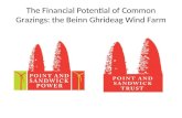 The Financial  Potential of Common Grazings: the Beinn Ghrideag Wind Farm
