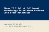 Phase II Trial of Ipilimumab Monotherapy in Melanoma Patients with Brain Metastases