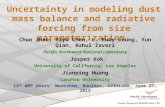 Uncertainty in modeling dust mass balance and radiative forcing from size parameterization