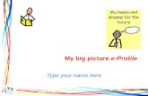 My big picture  e-Profile