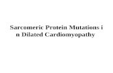 Sarcomeric Protein Mutations in Dilated Cardiomyopathy