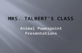 Mrs. Talbert’s class