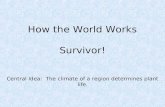 How the World Works Survivor!