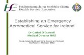 Establishing an Emergency Aeromedical Service for Ireland