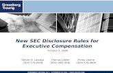 New SEC Disclosure Rules for Executive Compensation