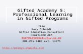 Gifted Academy 5: Professional Learning in Gifted Programs