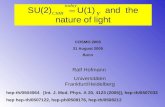 SU(2)          U(1)    and  the nature of light