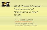 Work Toward Genetic Improvement of Disposition in Beef Cattle