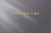 Principle 3 &4