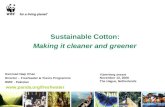 Sustainable Cotton: Making it cleaner and greener