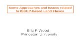 Some Approaches and Issues related to ISCCP-based Land Fluxes