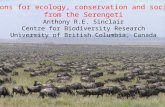 Lessons for ecology, conservation and society  from the Serengeti Anthony R.E. Sinclair