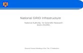 National GRID Infrastructure National Authority  for Scientific Research Sorin ZGURA,