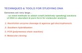 TECHNIQUES & TOOLS FOR STUDYING DNA