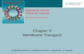 Chapter 9 Membrane Transport