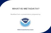 WHAT IS METADATA?