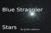 Blue Straggler                                            Stars