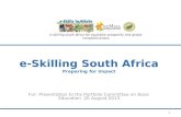 e-Skilling South Africa Preparing for Impact