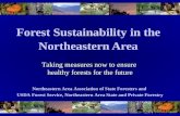 Forest Sustainability in the  Northeastern Area