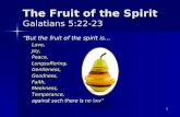 The Fruit of the Spirit  Galatians 5:22-23