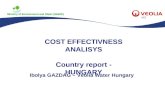 COST EFFECTIVNESS ANALISYS Country report  - HUNGARY