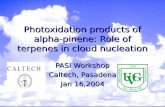 Photoxidation products of alpha-pinene: Role of terpenes in cloud nucleation