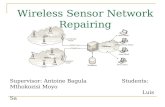 Wireless Sensor Network Repairing