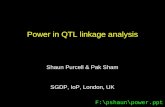 Power in QTL linkage analysis