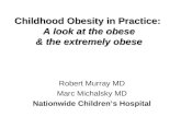 Childhood Obesity in Practice:  A look at the obese & the extremely obese