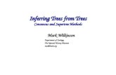 Inferring Trees from Trees Consensus and Supertree Methods