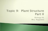 Topic 9:  Plant Structure  Part II