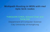 Multipath Routing in WSN with multiple Sink nodes