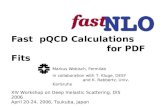 Fast  pQCD Calculations                               for PDF Fits