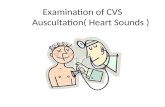 Examination of CVS  Auscultation( Heart Sounds )
