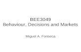 BEE3049 Behaviour, Decisions and Markets